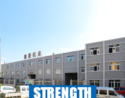 COMPANY STRENGTH